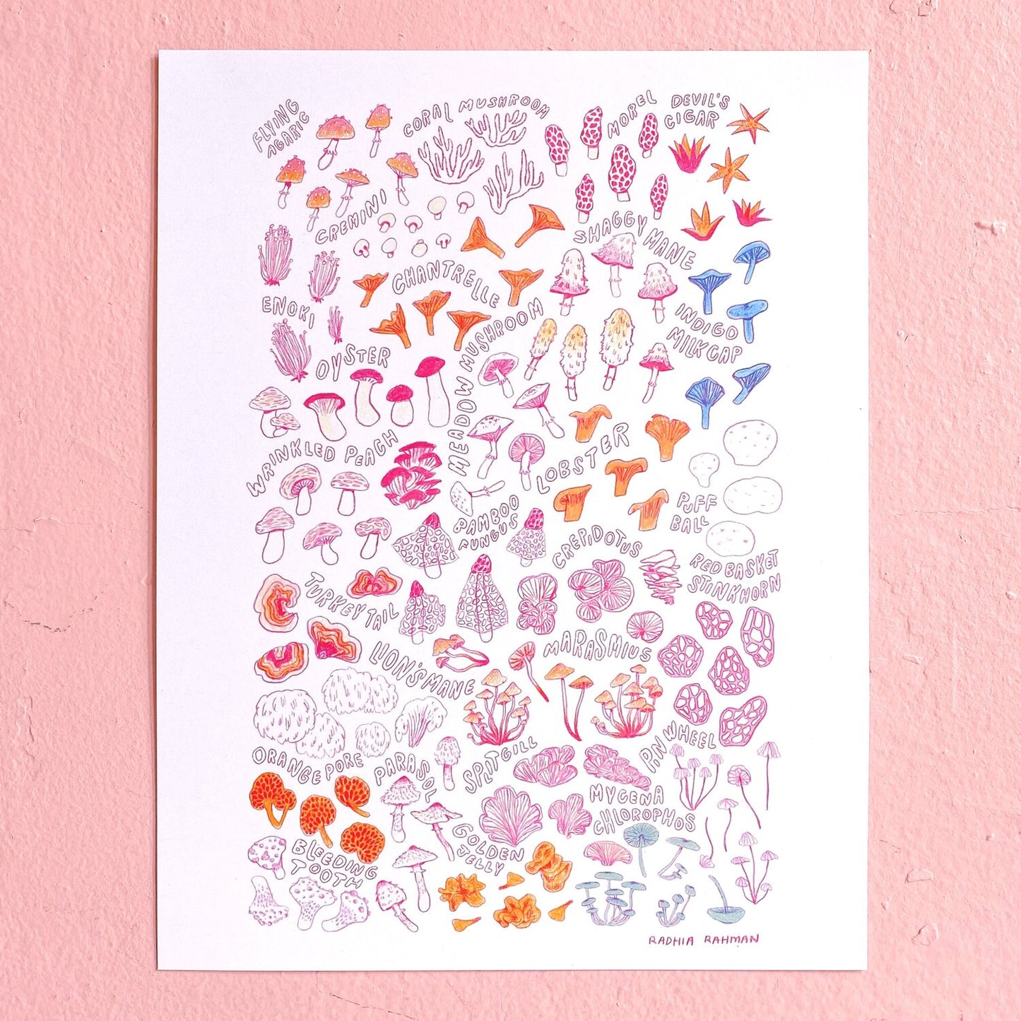 Mushroom Print (LAST CHANCE)